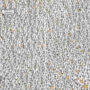 Brain teasers: Only with great observation skills will able to spot Bird in Party Hat