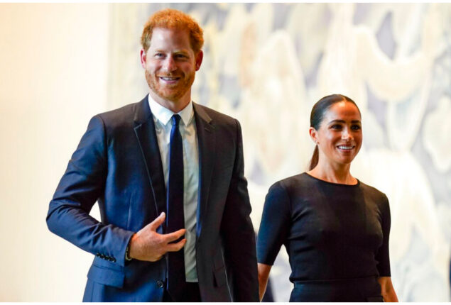 Prince Harry and Meghan gave $3M to Archewell Foundation