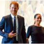 Prince Harry and Meghan gave $3M to Archewell Foundation