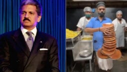 Anand Mahindra