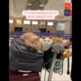 Man boards plane with his pet kitties and uploads adorable video