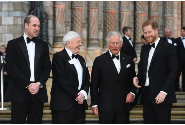 Prince Harry to attend Coronation ‘High-profile seat and title promise’