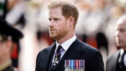 Prince Harry wish to see paparazzi behind bars