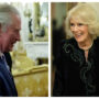King Charles, Queen Consort Camilla hosts lavish reception at Buckingham Palace