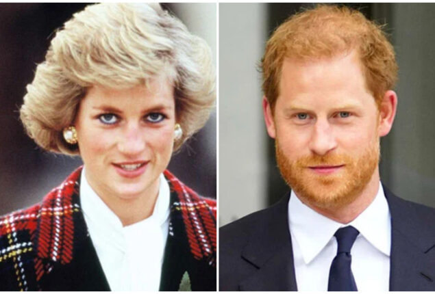 Prince Harry recalls ex girlfriend asking about Princess Diana