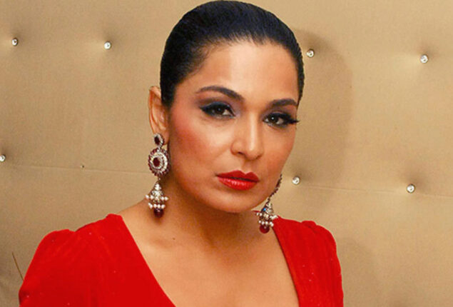 Meera failed to recognize several well-known Pakistani celebrities