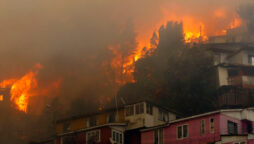Chile wildfires burnt more than 750 hectares of forest, farmland