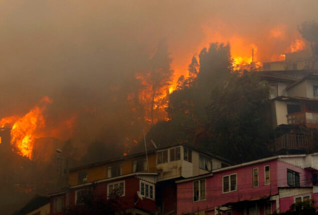 Chile wildfires burnt more than 750 hectares of forest, farmland