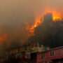 Chile wildfires burnt more than 750 hectares of forest, farmland
