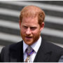 Prince Harry under fire for behaving as a ‘treacherous little toad’