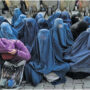 the Afghan Taliban