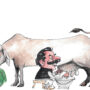 Pakistani economy