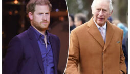 Prince Harry & King Charles