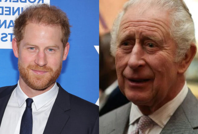 King Charles’ friend reveals monarch’s feelings about Harry