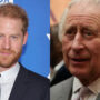 King Charles’ friend reveals monarch’s feelings about Harry