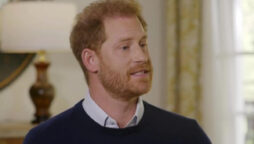 Expert claims Prince Harry has ‘ More leaks than the Titanic’