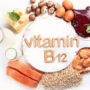 The Body Requires Vitamin B12