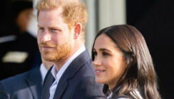Expert says Prince Harry ‘objects’ to royal titles being ‘forcibly stripped’