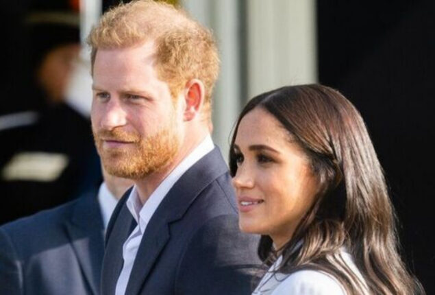 Expert says Prince Harry ‘objects’ to royal titles being ‘forcibly stripped’