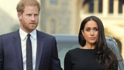 Prince Harry and Meghan Markle will not be warmly welcomed by Britons