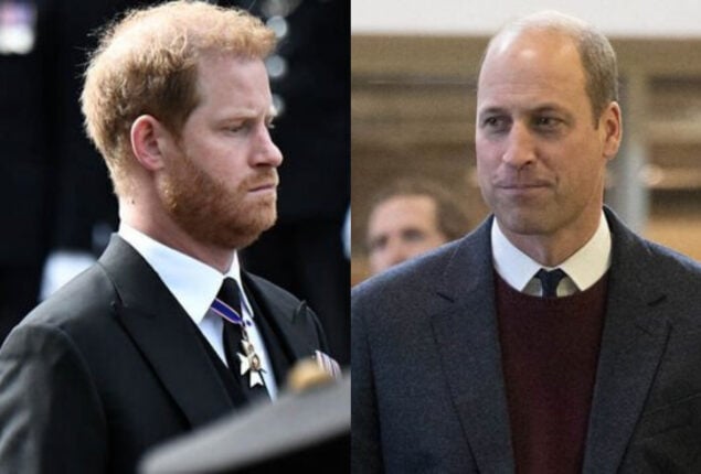 Prince William ‘more to lose’ if Prince Harry attends King Charles’ coronation