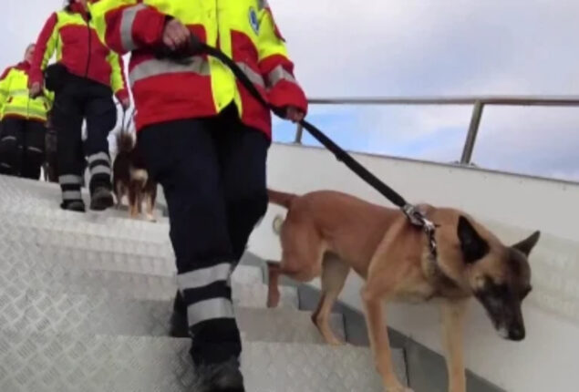 United Kingdom search and rescue team arrives in Turkey