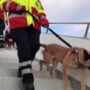 United Kingdom search and rescue team arrives in Turkey