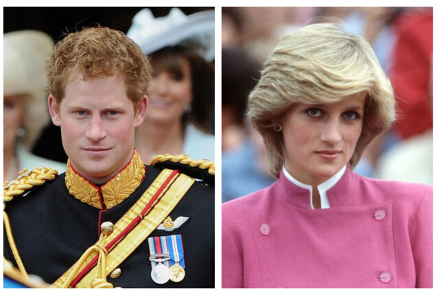 Prince Harry ‘risked’ discussing Diana at William’s wedding speech