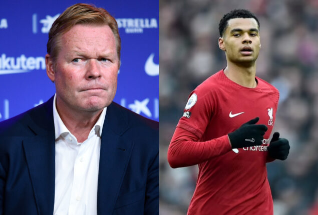 Koeman says “Cody Gakpo might have joined Liverpool too early”