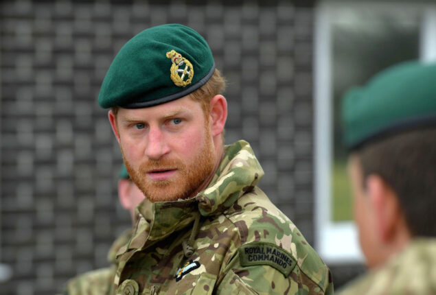 Prince Harry recalls struggles after leaving army
