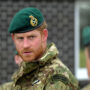 Prince Harry recalls struggles after leaving army
