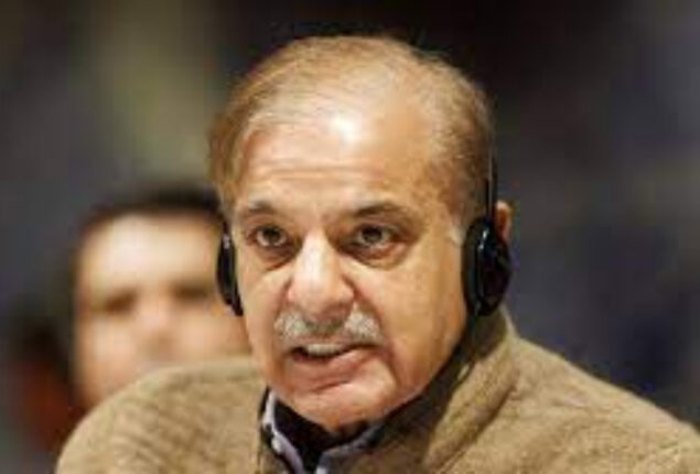 Govt to undertake