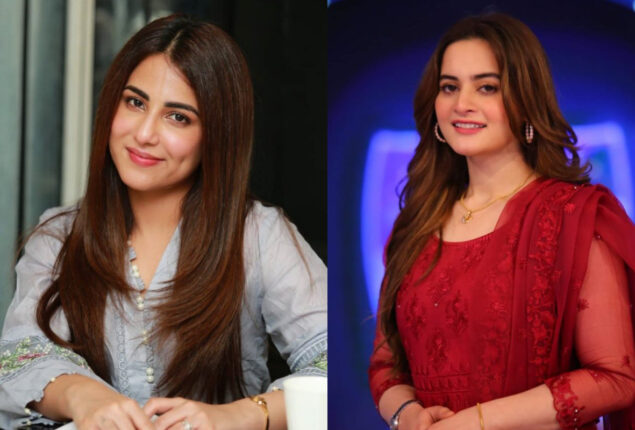 Public’s funny reaction to Ushna Shah criticizing Aiman Khan