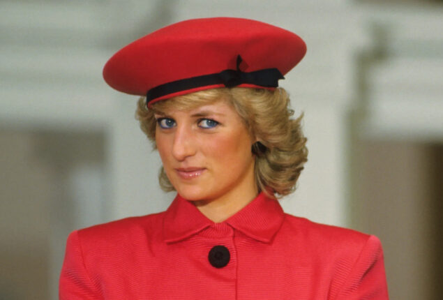 Princess Diana wished for ‘landmines’ free world: Prince Harry