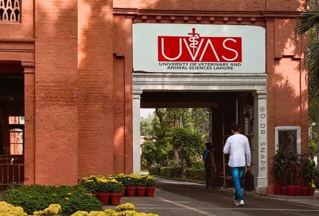 UVAS arranges stakeholders’ meeting on GMO issues