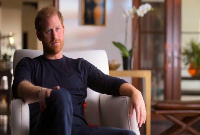 Prince Harry discusses dark side of royal engagements