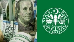 Pakistani workers remit $16 billion in seven months of FY23