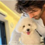 Kartik Aaryan says no girl can give the love that his dog gives him