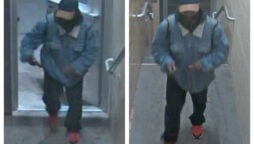 Michigan State University