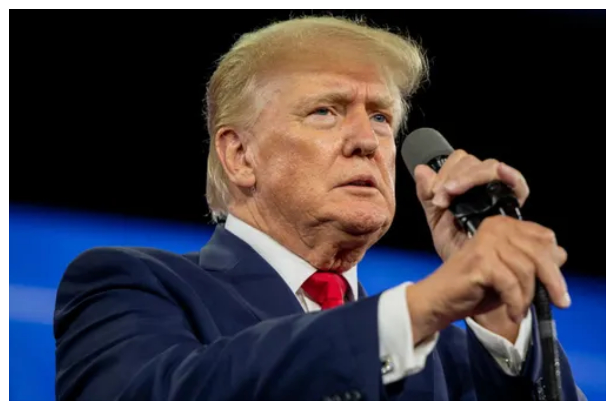 2020 election report