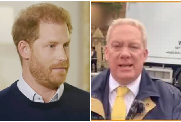 Prince Harry’s status as a role model for men all over the world: Expert