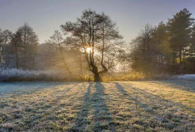 Dry weather expected in most plain area of Pakistan