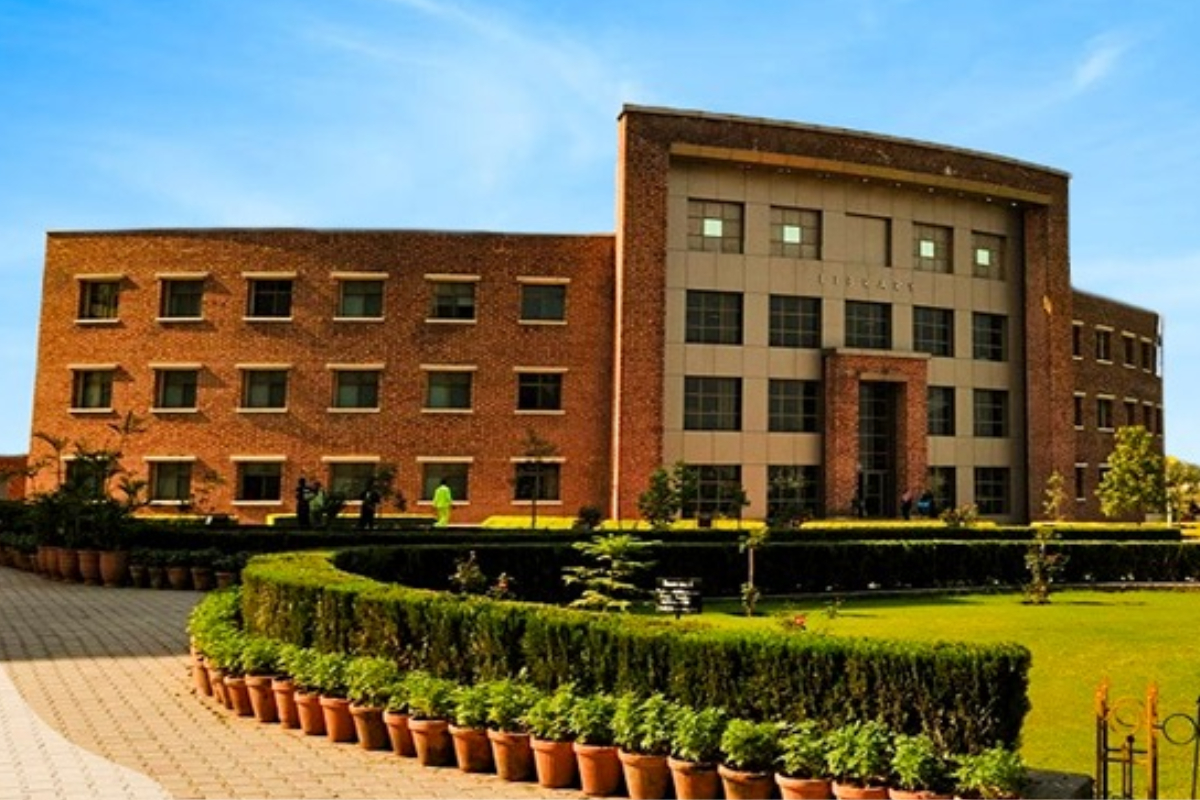 Comsats University Lecturer