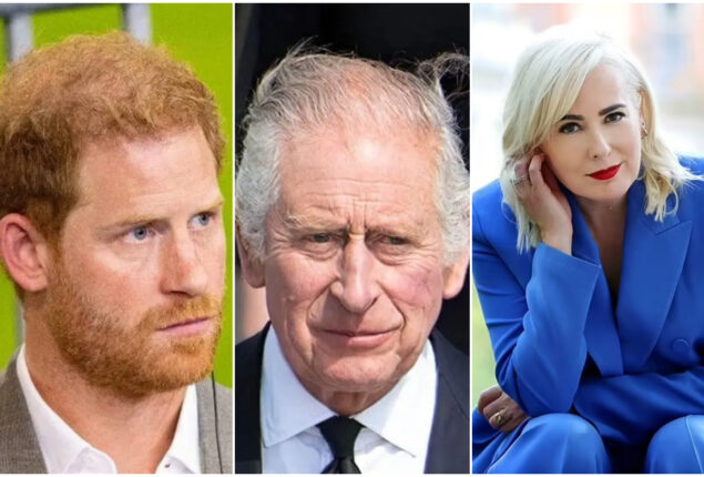 Prince Harry accused of ‘parading around’ his dislike for King Charles