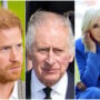 Prince Harry accused of ‘parading around’ his dislike for King Charles