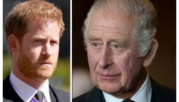 King Charles & Prince Harry