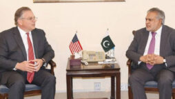 Ishaq Dar meets US Ambassador Donald Blome