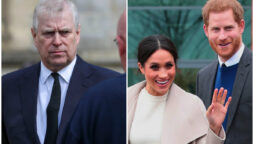 Meghan and Harry are more disliked in US than Prince Andrew