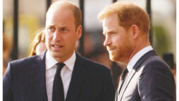 Prince Harry may be greeted warmly by brother Prince William