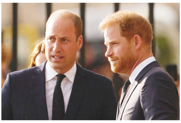 Prince Harry may be greeted warmly by brother Prince William